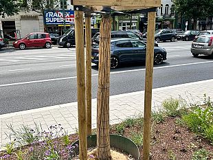 piano-del-verde-firenze-prova-la-svolta-green