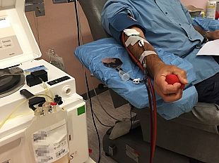 ponte-a-niccheri-donate-sei-unita-di-plasma-iperimmune