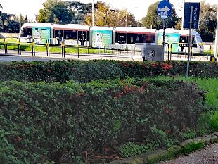 tramvia-4-leopolda-campi-bando-entro-fine-2022