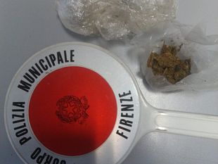 cascine-cani-antidroga-fiutano-marijuana-tra-la-vegetazione