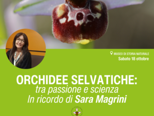 scienza-ricordo-di-sara-magrini-e-delle-sue-orchidee-selvatiche