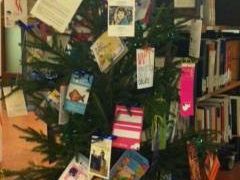 b212182003-tredici-alberi-per-le-tredici-biblioteche-cittadine-di-firenze