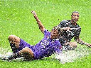 b108070122-a-st-james-park-vince-la-pioggia-inglese-viola-under-construction