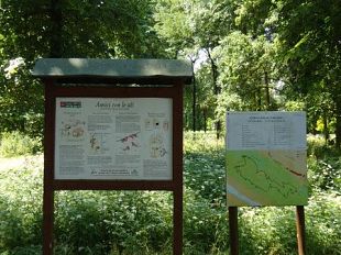 cascine-un-accoltellamento-questa-mattina