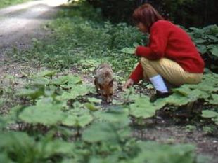 100-anni-della-foresta-casentinese-il-calendario-degli-eventi