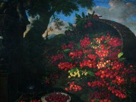 a706161624-apre-al-pubblico-nella-villa-medicea-di-poggio-a-caiano-il-museo-della-natura-morta-con-duecento-dipinti-delle-collezioni-medicee
