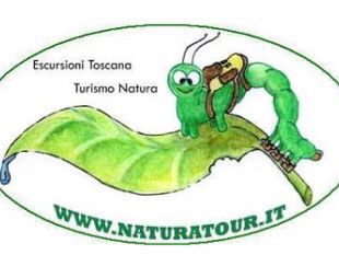 b203120607-escursione-al-monte-bargiglio-l-occhio-di-lucca