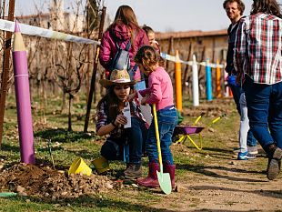 il-2-festival-del-potatore-della-vite-fa-tappa-a-castelnuovo-berardenga