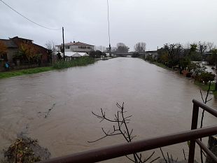 codice-giallo-sulla-citta-di-firenze