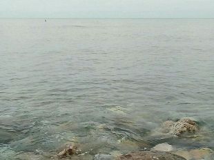 livorno-i-dati-sulla-salute-del-mare