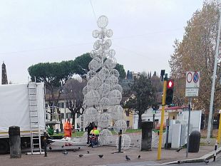 galluzzo-smontano-lalbero-di-piazza-acciaioli-problemi-tecnici