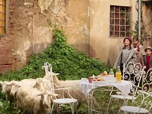 toscana-tra-casa-e-lavoro-ecovillaggio-san-cresci-una-grande-famiglia