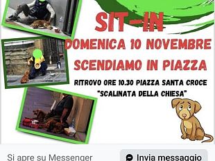 sit-in-per-dire-stop-allaccattonaggio-con-animali-a-firenze