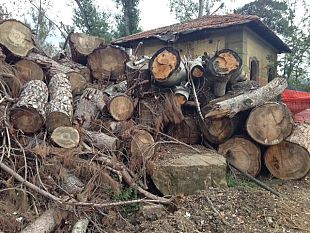 100-architetti-e-agronomi-per-far-risorgere-i-parchi-dellalbereta-e-dellanconella