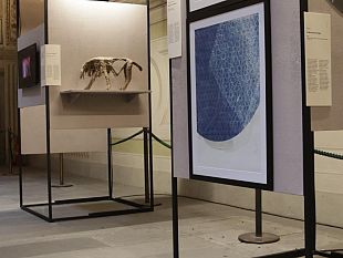 second-life-tutto-torna-mostra-nel-cortile-di-michelozzo