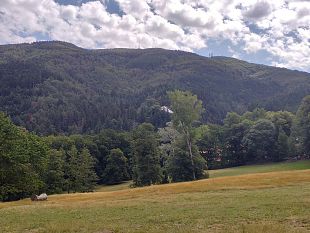 foresta-maestra-a-vallombrosa-eventi-gratuiti-tra-arte-ambient