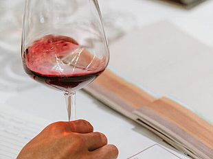vino-vola-la-produzione-toscana-con-26-milioni-di-ettolitri
