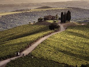 in-uscita-di-due-nuovi-rosso-di-montalcino-castiglion-del-bosco