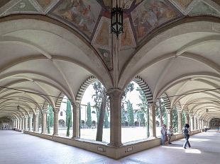 la-botanica-di-leonardo-grande-mostra-a-firenze