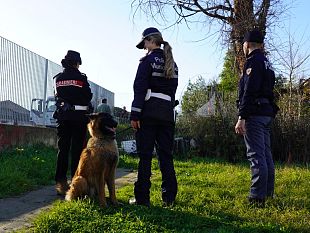 per-15-giorni-sospensione-della-licenza-per-un-locale-del-centro