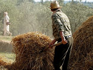 festa-della-battitura