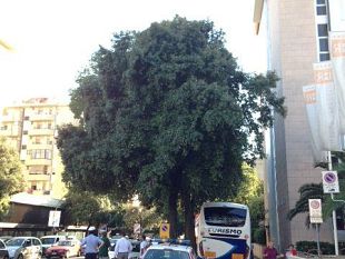 tramvia-piu-opportunita-per-laccesso-ai-posti-nel-parcheggio-di-viale-morgagni