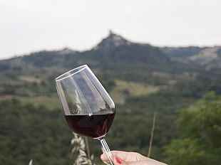 con-un-calice-di-vino-ed-il-naso-allinsu