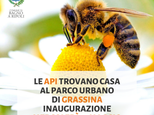 le-api-trovano-casa-a-bagno-a-ripoli