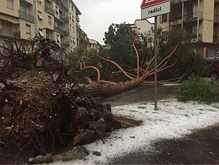 maltempo-tromba-daria-provoca-gravissimi-danni-su-firenze