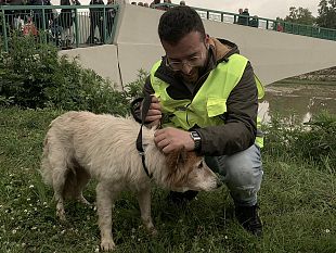 cagnolina-in-trappola-lungo-larno-salvata-da-polizia-municipale-e-vigili-del-fuoco