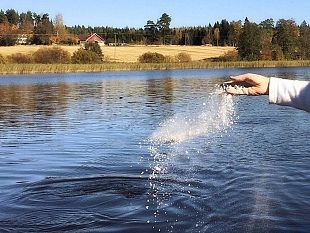 post-mortem-i-problemi-della-dispersione-delle-ceneri-a-firenze