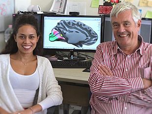 nuova-area-visiva-nel-cervello-la-ricerca-a-pisa-e-firenze