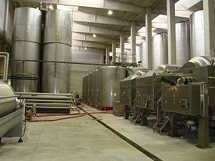 il-consorzio-del-vino-vernaccia-di-san-gimignano-auguri-a-vivito