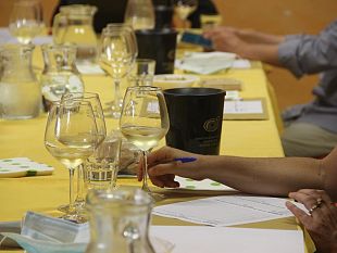 rispescia-la-rassegna-nazionale-dei-vini-delle-aeree-protette