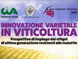 a-firenze-il-forum-nazionale-vitivinicolodi-cia-agricoltori-italiani