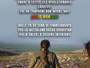 amato-pap-e-verdi-frsscarcerazione-di-abdullah-ocalan-in-prigione-in-turchia