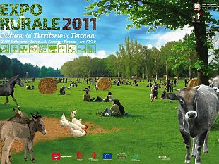 b109161432-expo-rurale-oltre-15mila-presenze-il-primo-giorno-foto