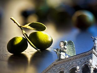 b401122147-extravergine-appena-franti-per-la-ii-edizione-di-extra-lucca