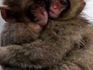 b211121424-imminente-il-kolossal-naturalistico-one-life
