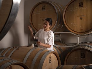 san-martino-celebra-larrivo-del-vino-nuovo