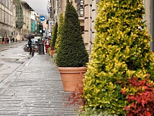 firenze-nuovi-arredi-urbani-in-via-cavour