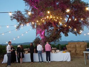 degustazione-sotto-le-stelle-a-poggio-al-tesoro