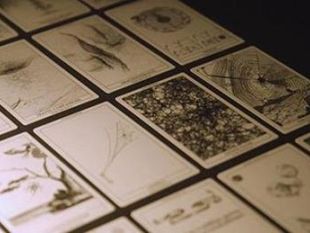 on-line-la-lettura-delle-carte-da-aracnomanzia-di-tomas-saraceno