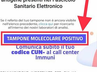 torselli-fdi-terrorizzante-pubblicita-di-immuni-sul-sito-della-regione