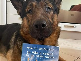 marley-alla-canottieri-il-1-gennaio