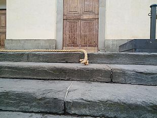 movida-e-caos-come-se-ne-esce-a-firenze