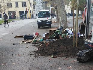 galluzzo-nuovo-platano-in-piazza-acciaioli
