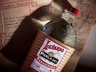 luxardo-maraschino-perla-dry-per-i-primi-200-anni-di-storia