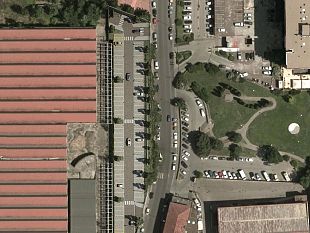 e-morto-delfo-del-bino