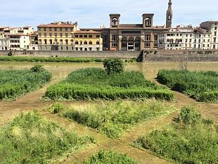 un-giardino-pubblico-sotto-lungarno-serristori